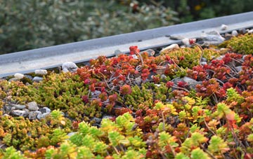 the cost of Standingstone green roof installation